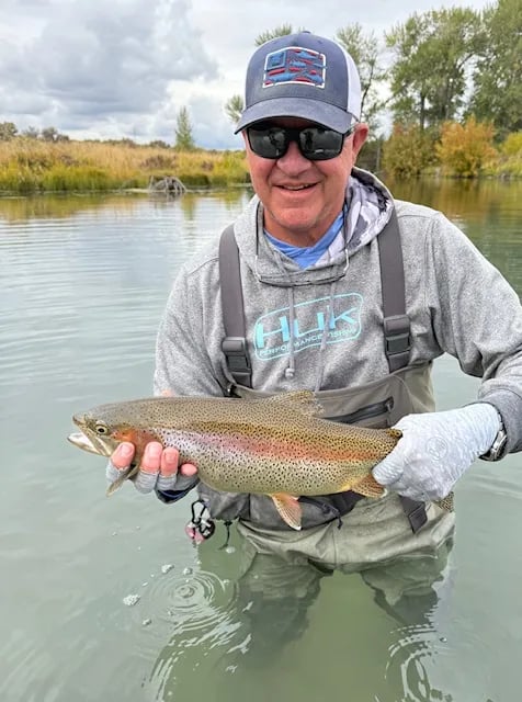 Angler's hands holding a spotted Brown Trout partially submerged in water.