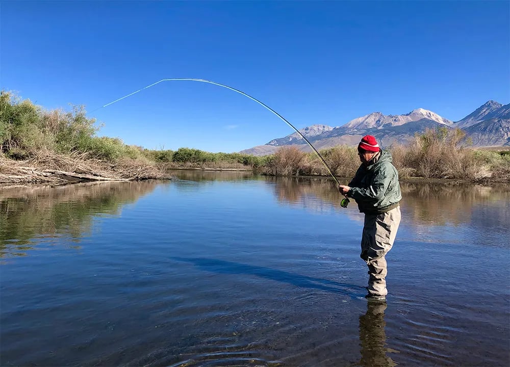 Man in waders and a cap holding a Rainbow Trout in a river.
