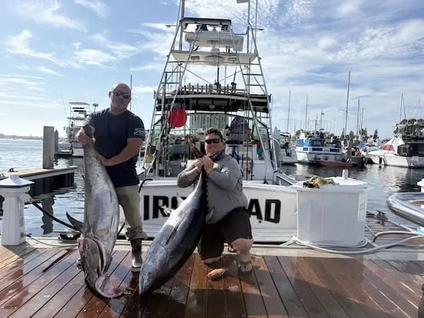 Two anglers holding large Yellowtail on a dock in front of the Ironclad boat.
