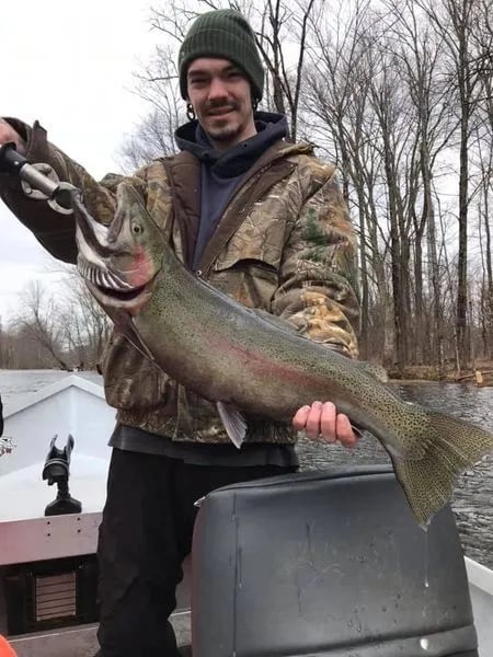 Angler on a boat holding a large Steelhead with a fish gripper.