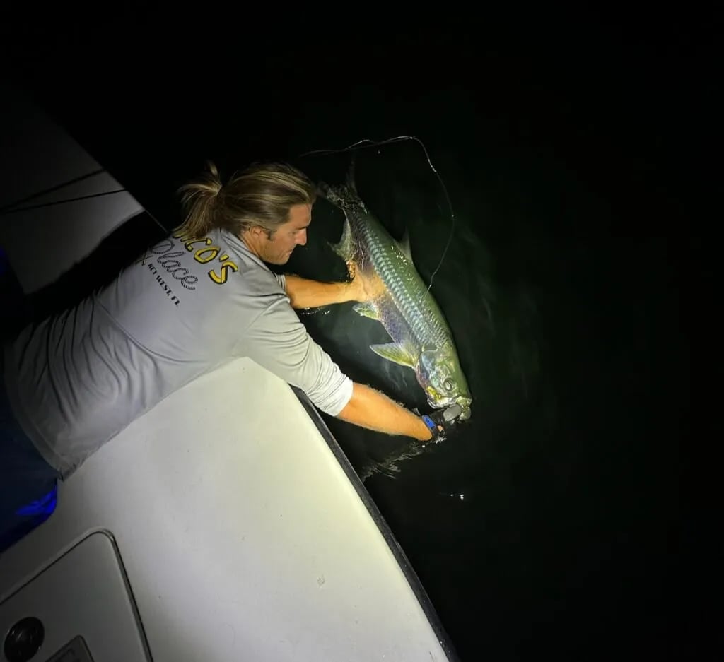 Angler holding a bonefish in clear shallow water, fly rod in mouth.