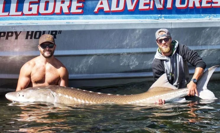 Group of anglers in the water holding a massive Sturgeon next to a jet boat.