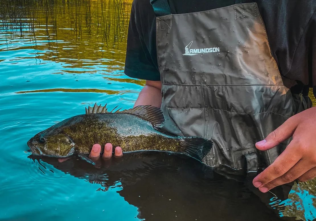 Angler holding a smallmouth bass in shallow, clear water