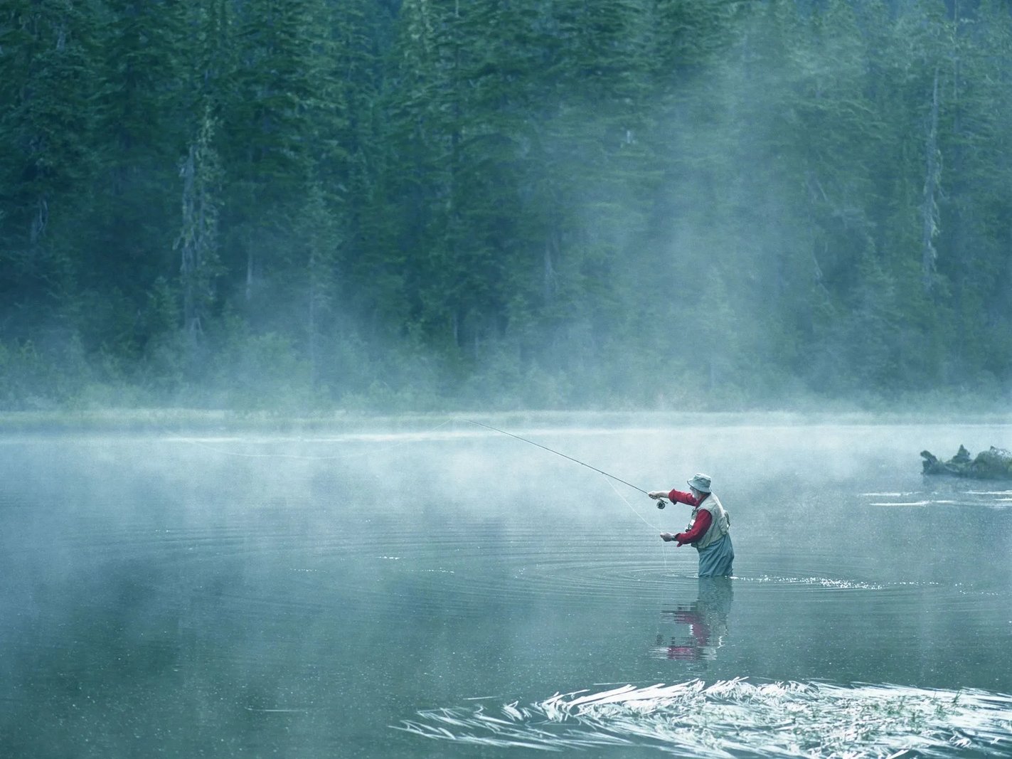 Angler on a boat holding a silvery fish, with fishing rods visible.
