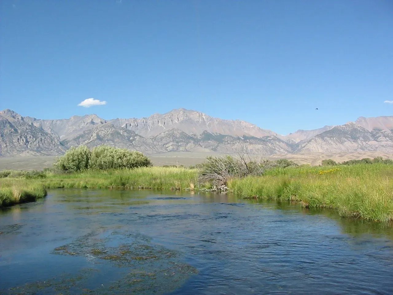 River flowing through a grassy valley with mountains under a clear sky.
