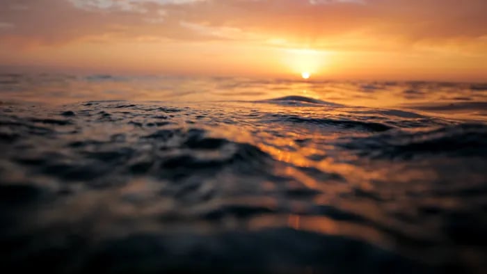 Golden sunset reflecting on the rippling surface of open water