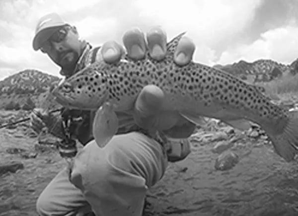Chris Ramos holding a spotted Brown Trout in black and white
