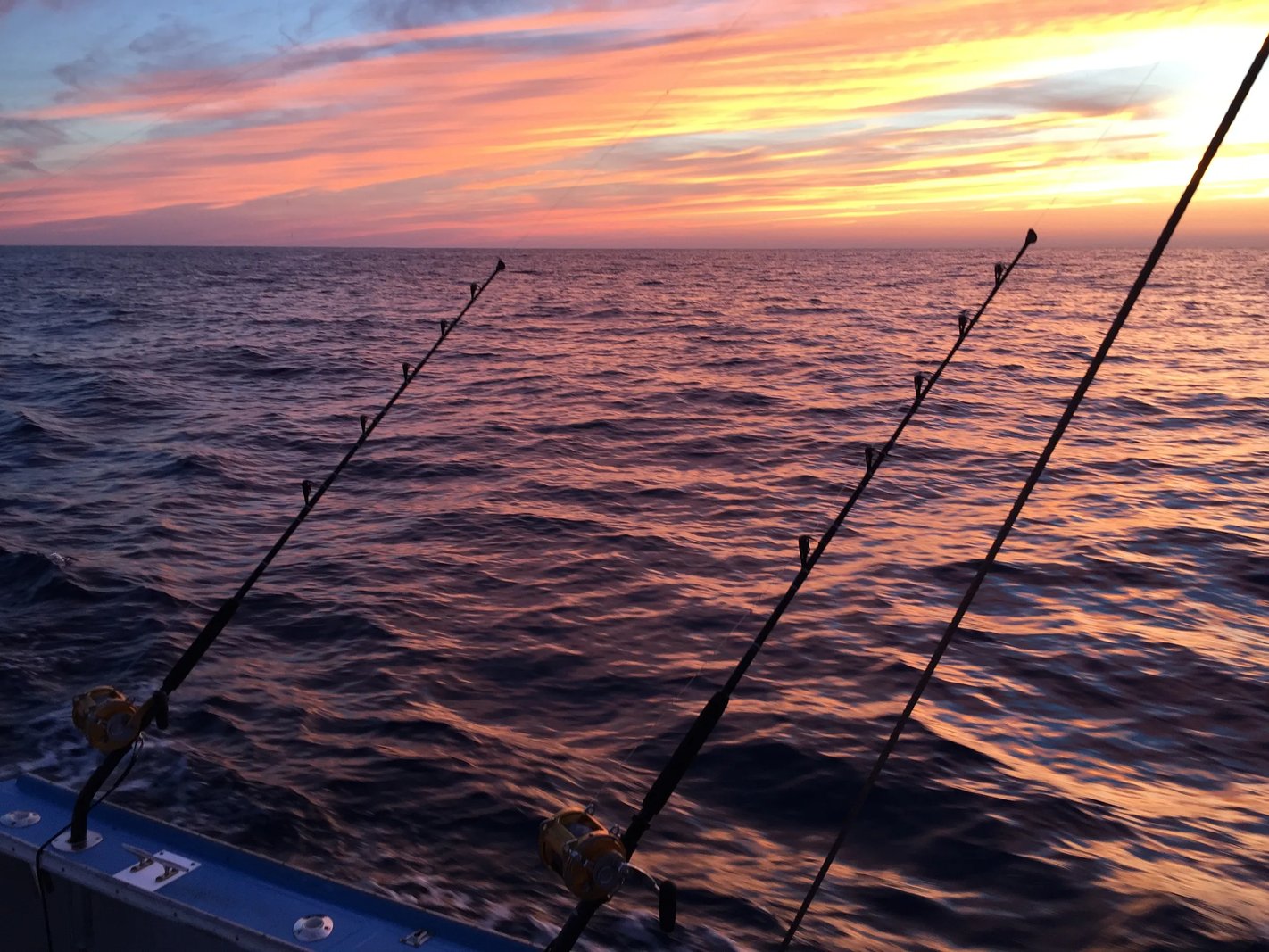 Group of five anglers on a boat with a large shark on the deck.