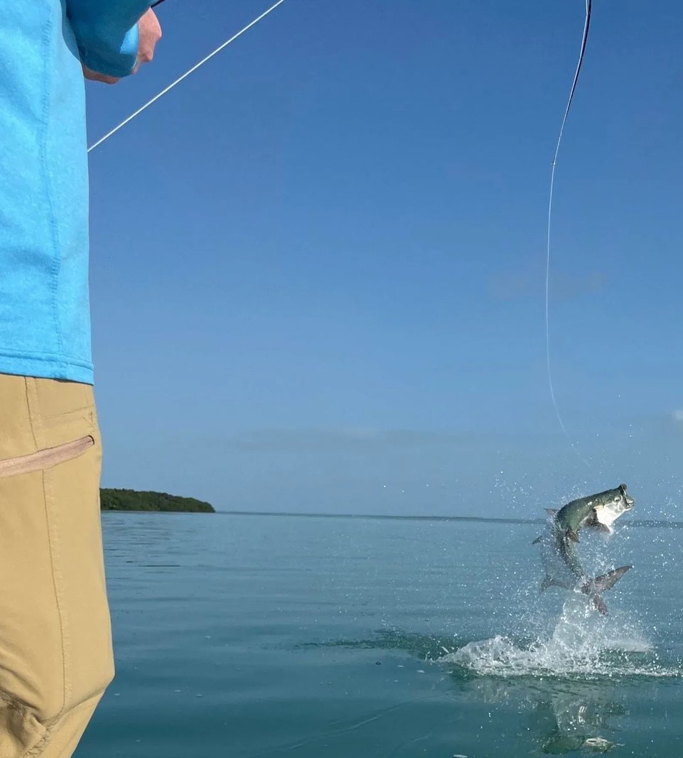 Angler fighting a Tarpon jumping out of the water.