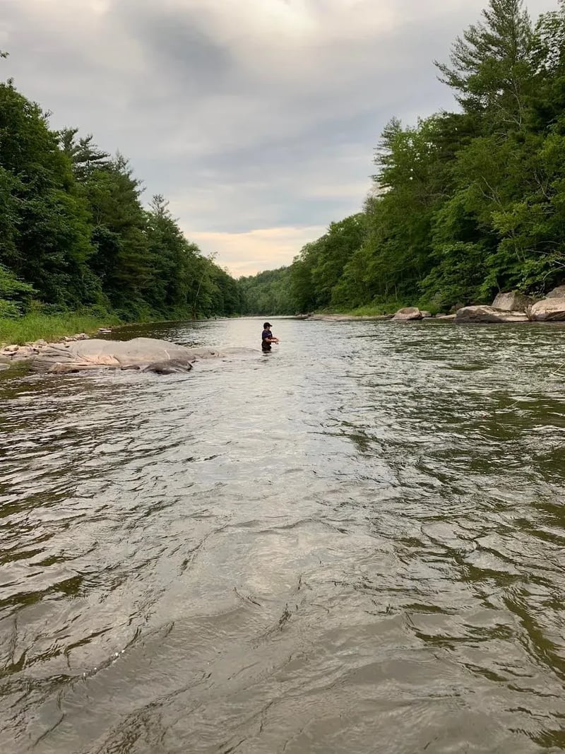 Angler wading in a wide river surrounded by dense green trees under a cloudy sky