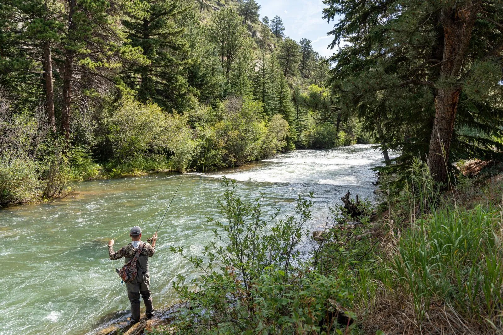 Angler fly fishing in a lush green river with dense forest