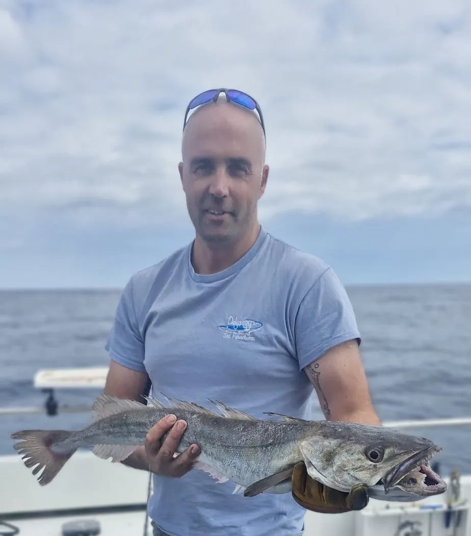 Angler holding a Saithe on a boat under cloudy skies.