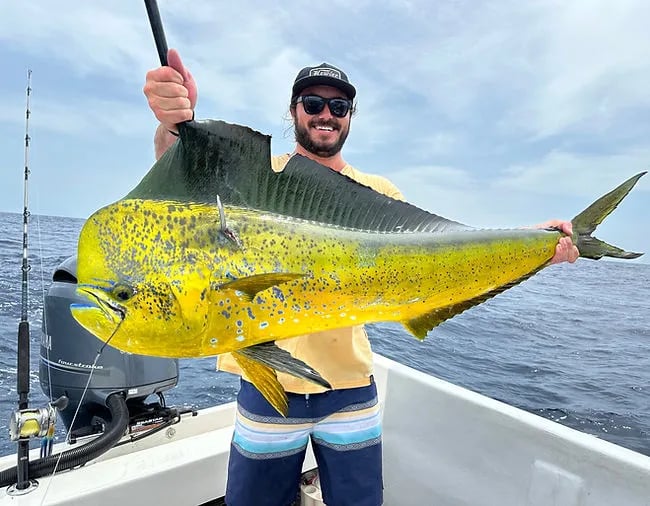 Two anglers on a boat holding a large Roosterfish with its distinctive dorsal fin.