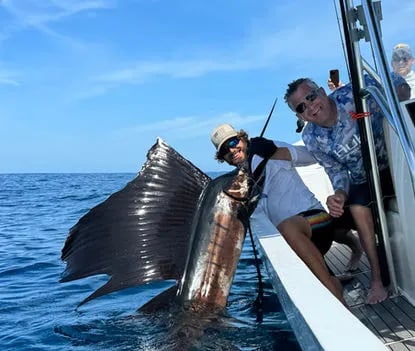 Two anglers on a boat next to a large Sailfish with its dorsal fin out of the water.