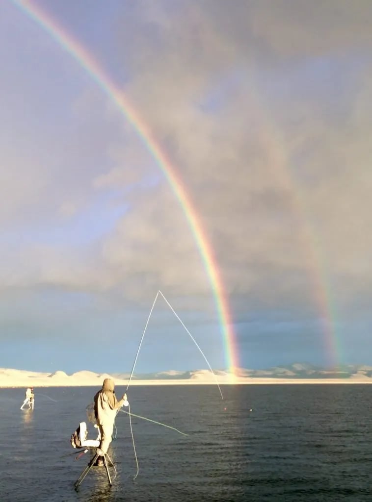 Pyramid Lake Rainbow
