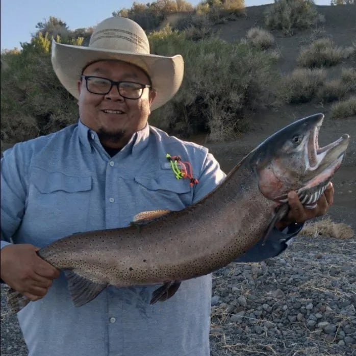 Big Trout