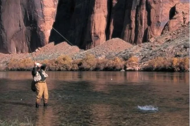 Angler casting a fly rod in a clear river with towering red rock cliffs.