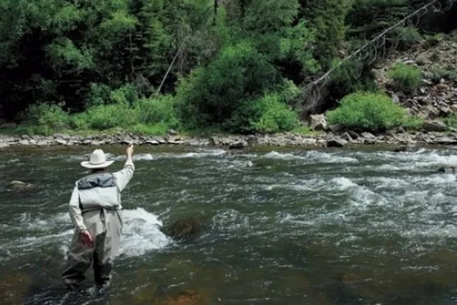 Angler wading in a swift river, casting a fly rod towards a forested bank.