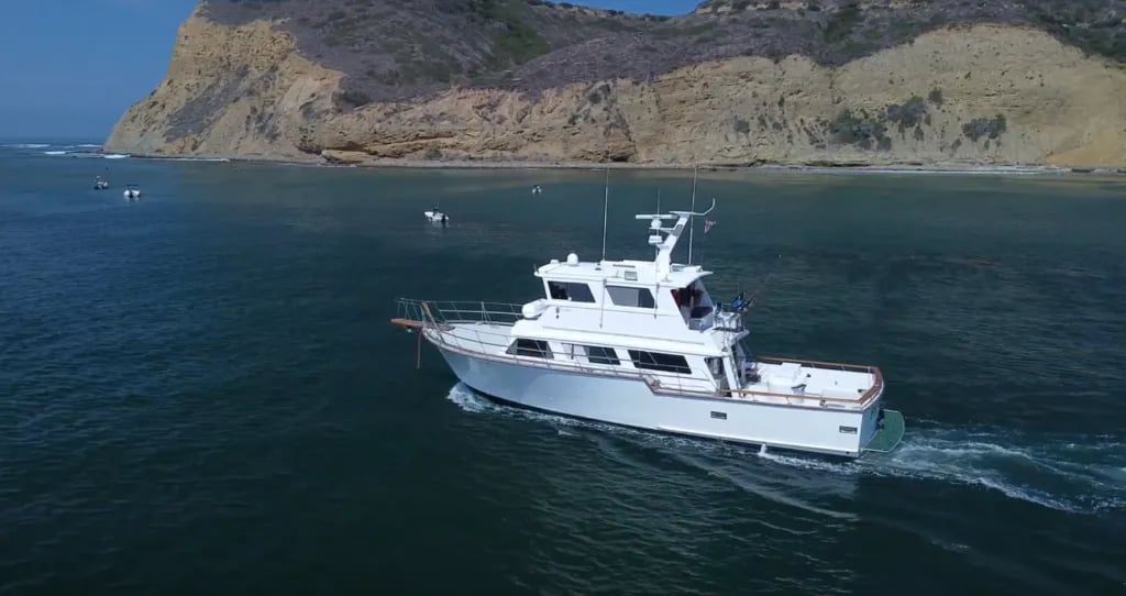 School of Yellowfin Tuna swimming in deep blue ocean water.