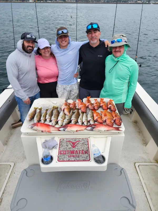Three anglers posing on a dock with a row of freshly caught Yellowtail