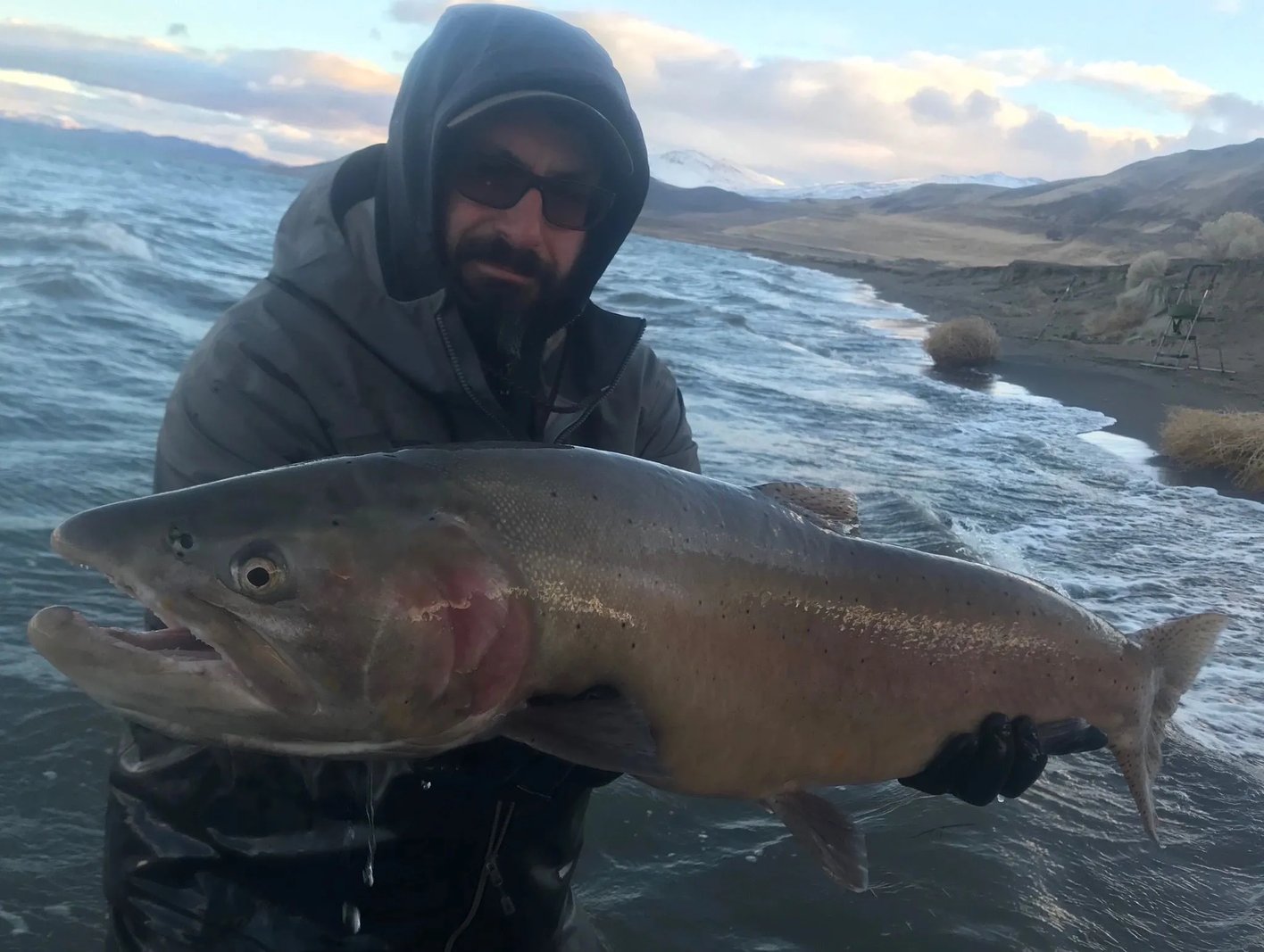 Angler in waders holding a massive Cutthroat Trout on a rocky shoreline.