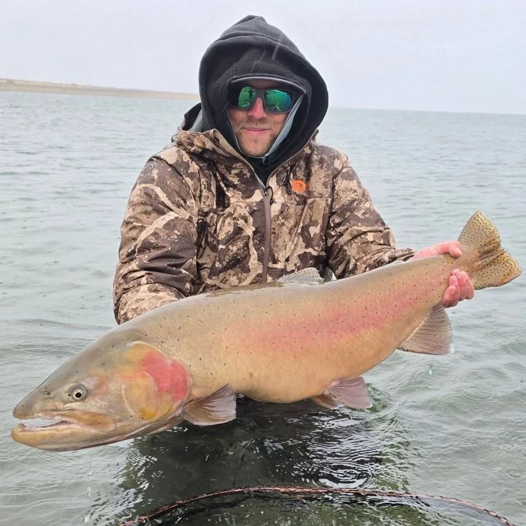Angler in camouflage waders holding a trophy Lahontan Cutthroat Trout.