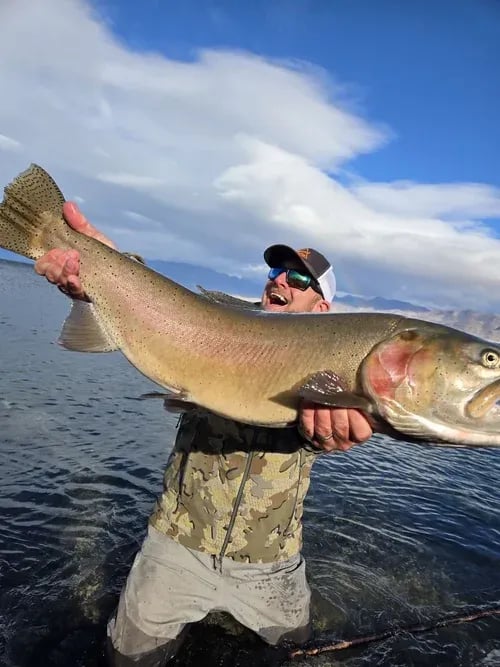 Angler releasing a large Cutthroat Trout from a pontoon boat into clear water.