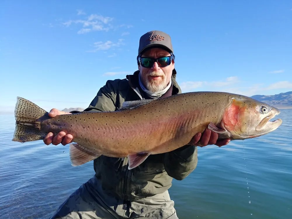 Angler in waders holding a large Cutthroat Trout in clear lake water