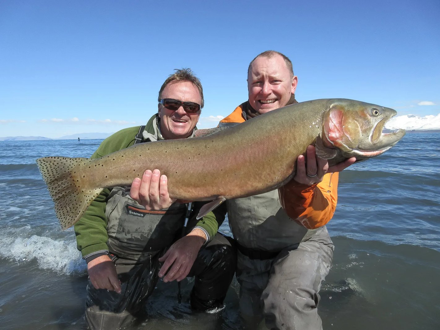 Group of anglers holding a large Cutthroat Trout in the water.