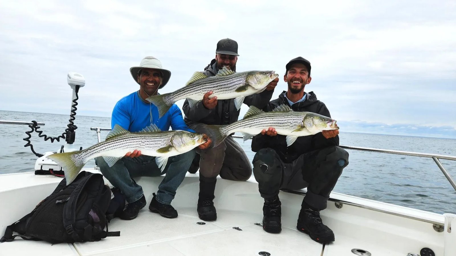 Three smiling anglers on a boat holding large striped bass under a cloudy sky.