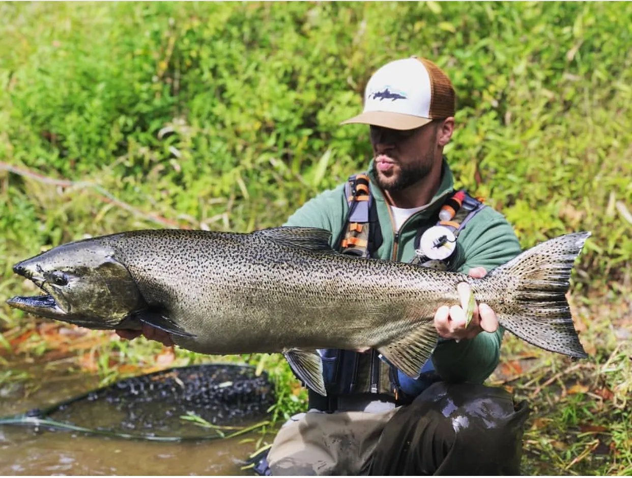 Angler holding a large King Salmon in a shallow river.
