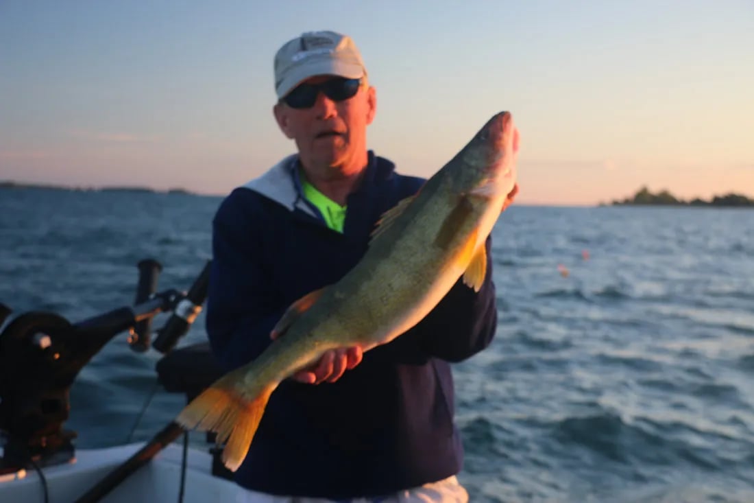 Angler holding a Walleye on a boat at sunset with calm water
