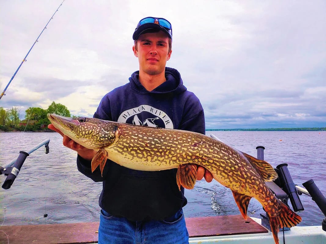 Angler holding a large Northern Pike on a boat under a cloudy sky