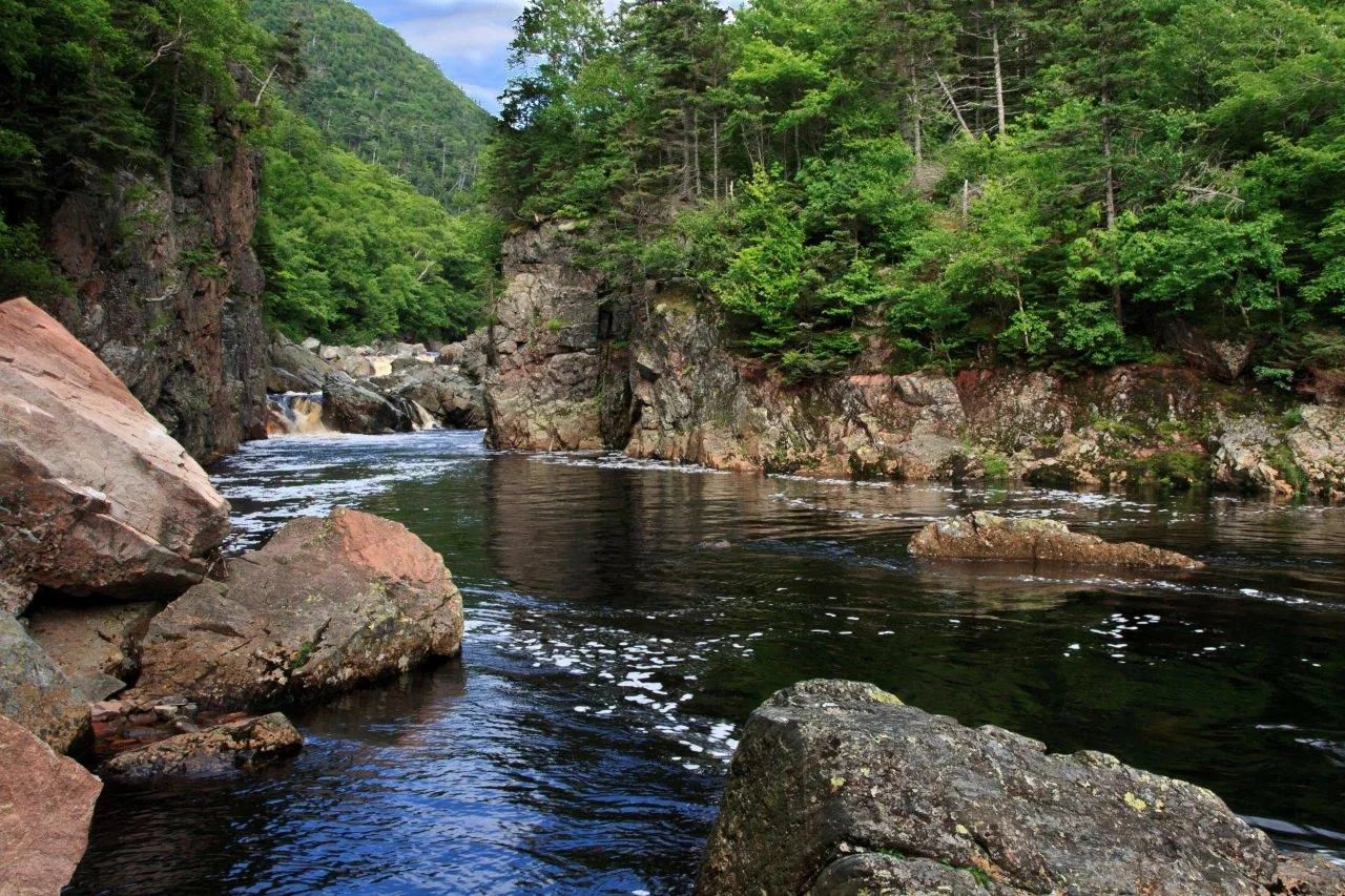 Dark river flowing through a rocky gorge surrounded by dense green forest.