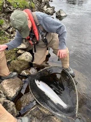 Angler kneeling by a river bank, holding a net with an Atlantic Salmon