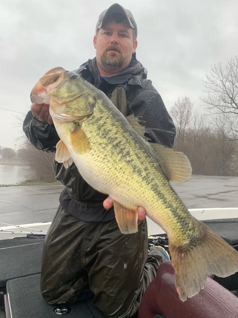Largemouth Bass jumping from water with a lure, scenic lake and dock at sunrise.