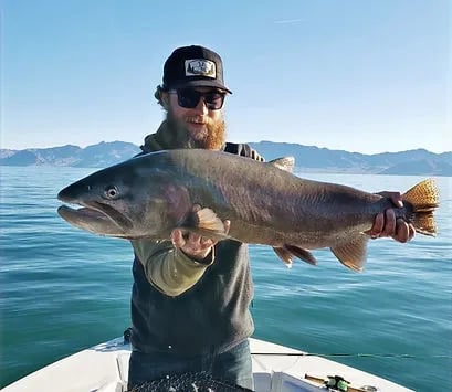 "Expert-guided fly fishing tours on Pyramid Lake, Nevada, targeting trophy Lahontan cutthroat trout."