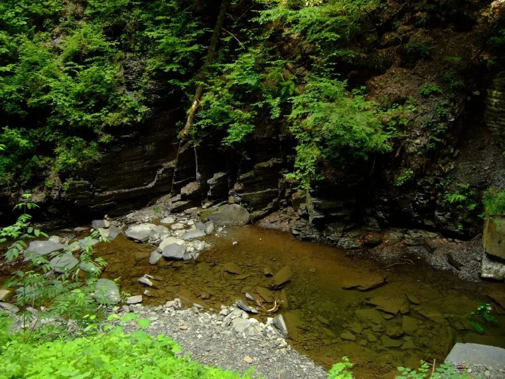 Rocky stream bed flowing through a lush green forest with 'Slacker FLY FISHING' logo overlay