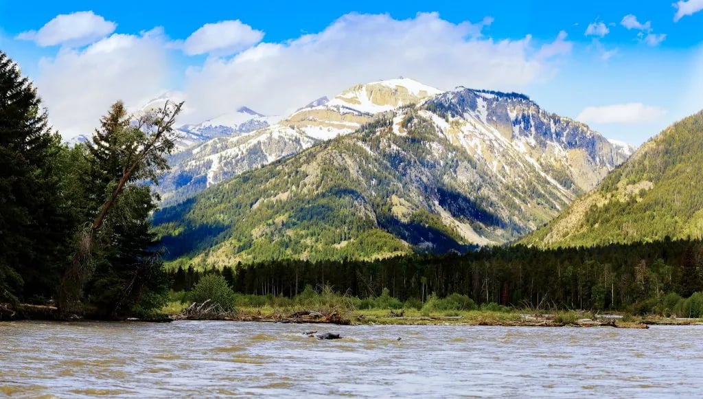 Majestic snow-capped mountains rise above a forested river valley under a partly cloudy sky