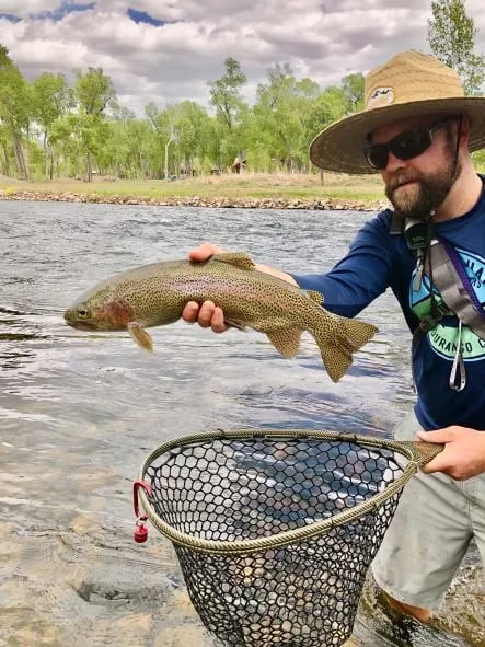 Man in a straw hat holding a Rainbow Trout over a landing net in a river.