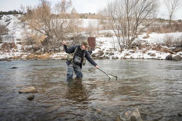 Angler in waders wading in a snowy river, reaching with a landing net.