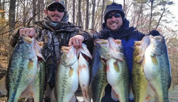Two anglers in winter gear hold a large haul of Largemouth Bass.