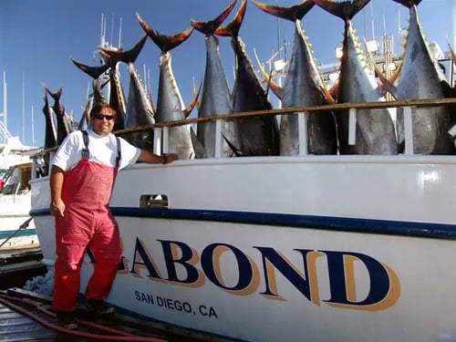 Angler standing next to the 'Vagabond' boat with several large Yellowfin Tuna hanging on display