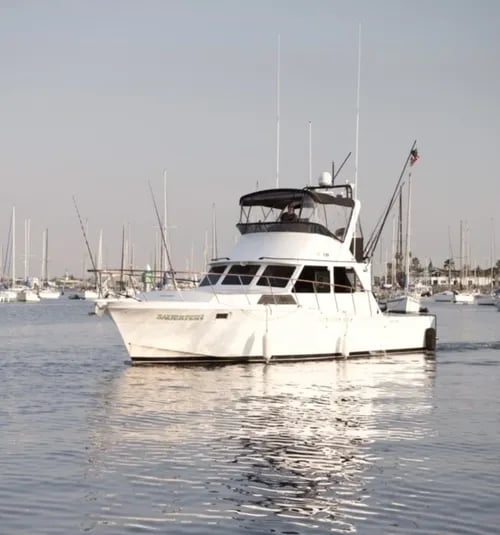 White sportfishing boat 'Sauerfish' cruising through a marina with other boats docked
