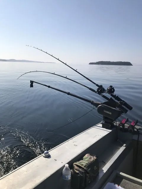 Multiple fishing rods rigged with downriggers on the side of a boat on calm water with a distant island