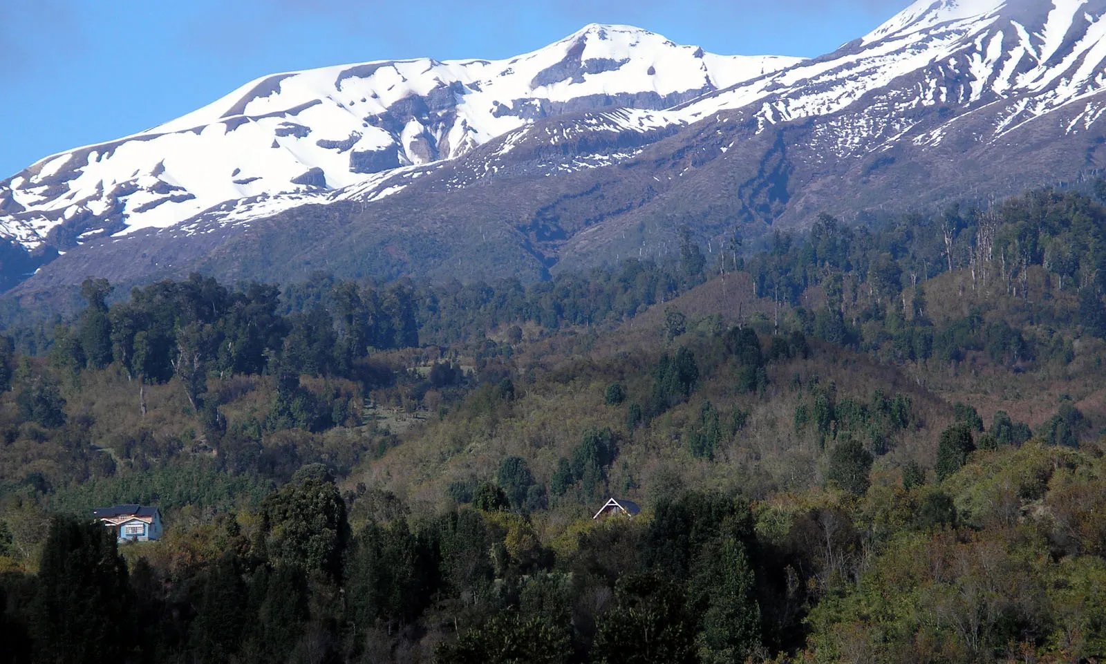 Tres Rios Lodge nestled on the forested northern slope of snowy Volcan Calbuco.