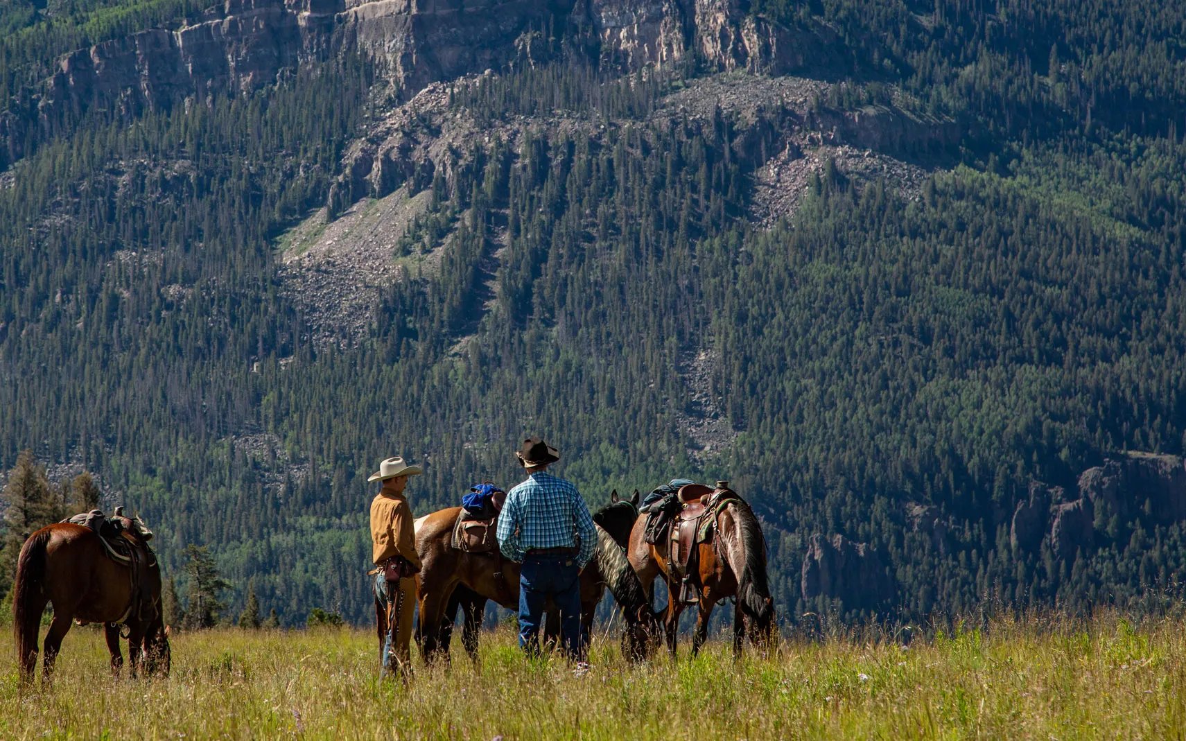 Two people with horses in a vast mountain landscape under a clear sky
