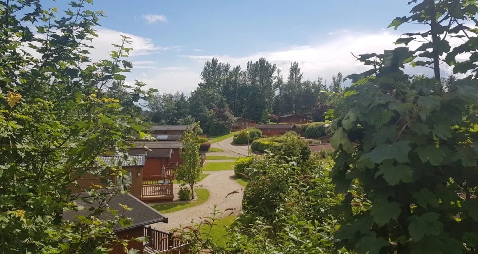 Aerial view of Blairgowrie Holiday Park with lodges nestled among trees.
