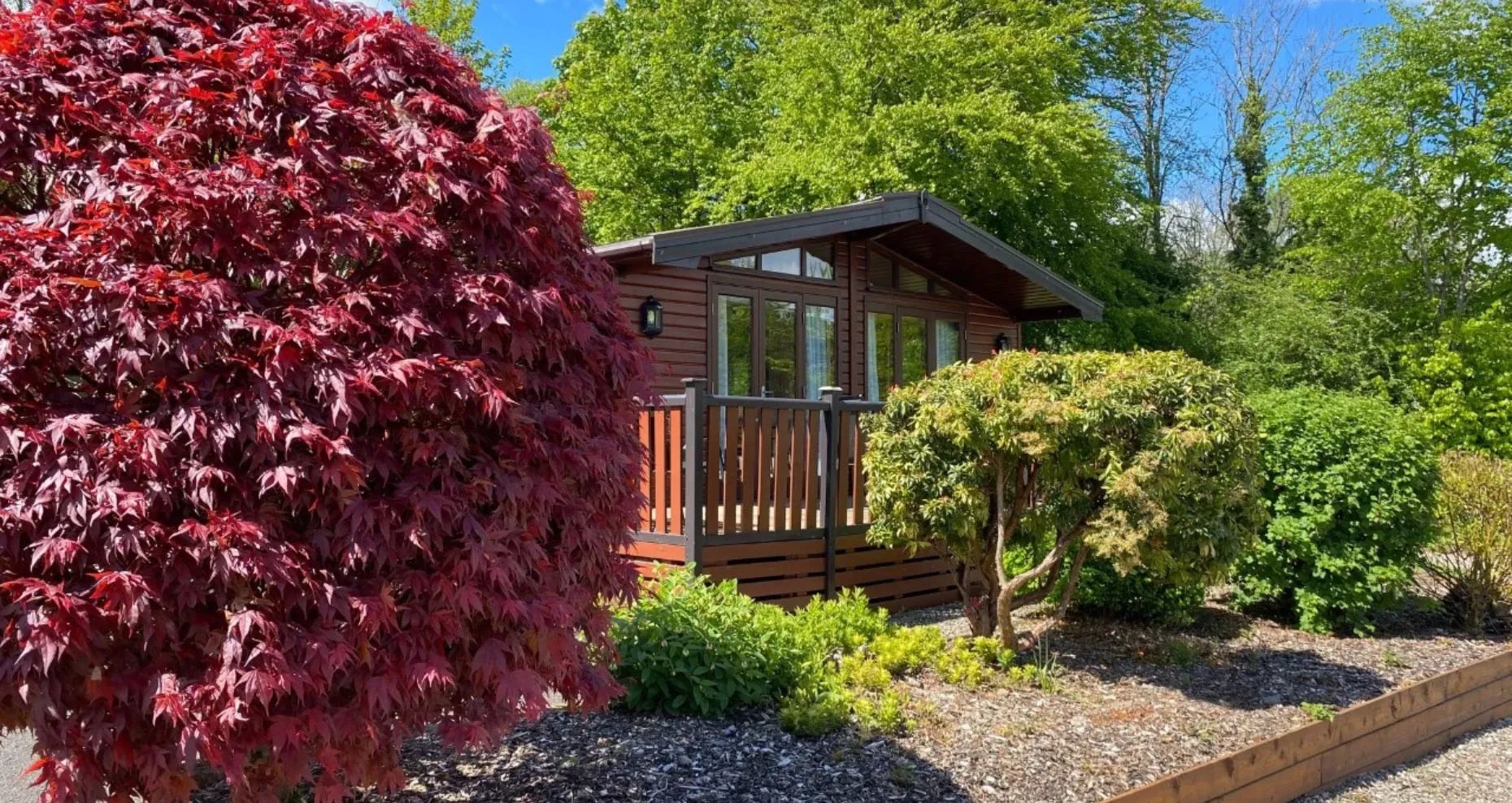 Modern lodge exterior with a large wooden deck and vibrant red maple tree.
