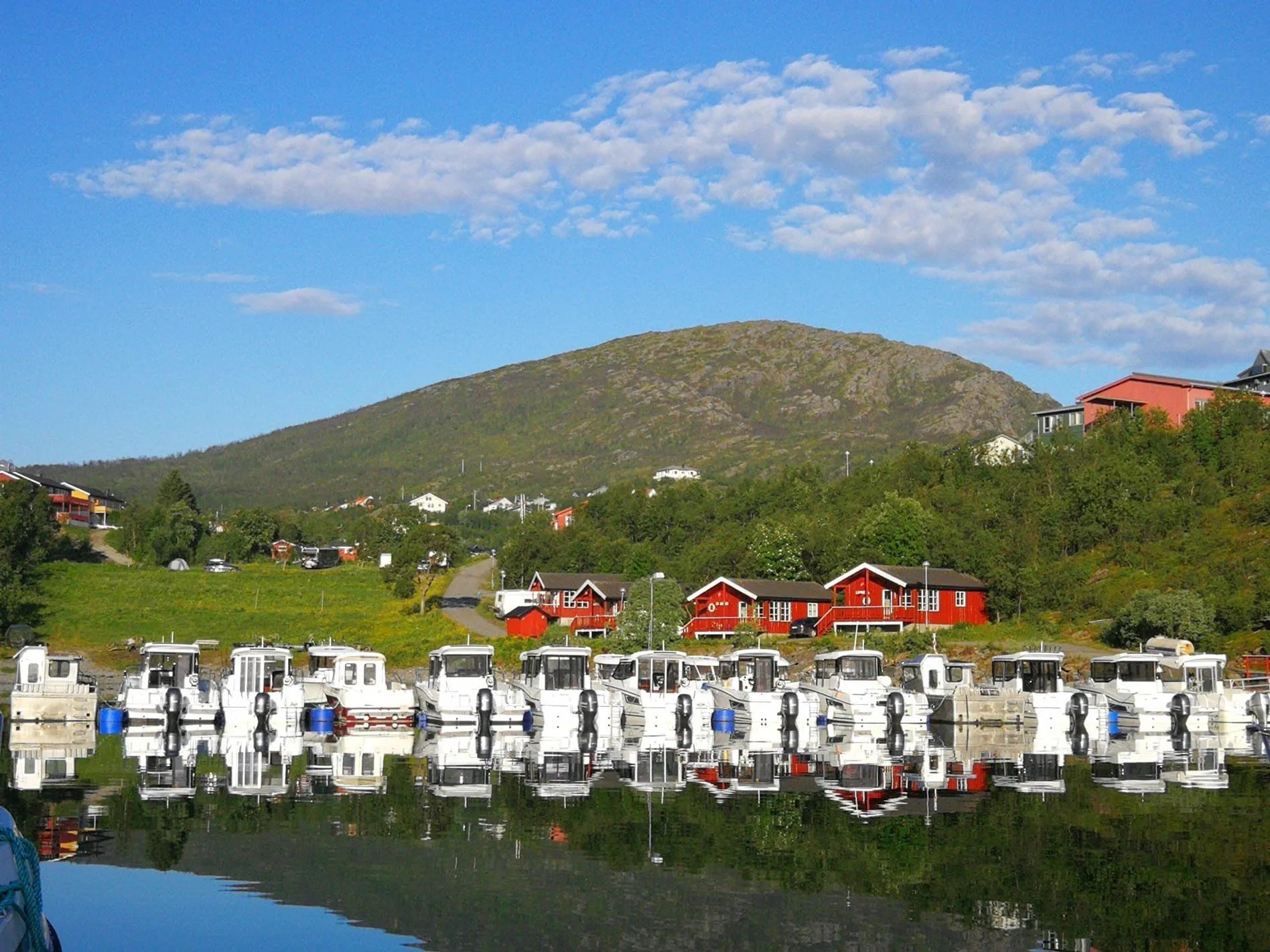 Fleet of white fishing boats docked in a harbor with red cabins and green hills behind.